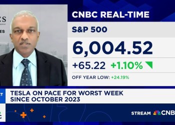 Dan Niles says, he’s cautious and expects a downturn later this year Dan Niles says, he’s cautious and expects a downturn later this year