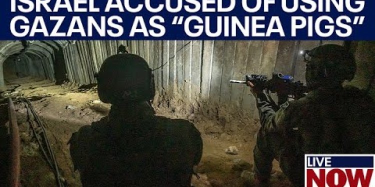 Israel using Gaza civilians as human shields, report claims; US urges probe | LiveNOW from FOX Israel using Gaza civilians as human shields, report claims; US urges probe | LiveNOW from FOX