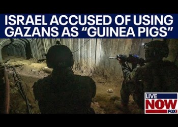 Israel using Gaza civilians as human shields, report claims; US urges probe | LiveNOW from FOX Israel using Gaza civilians as human shields, report claims; US urges probe | LiveNOW from FOX