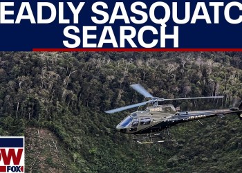 Sasquatch search leaves 2 dead in Washington, sheriff says | LiveNOW from FOX Sasquatch search leaves 2 dead in Washington, sheriff says | LiveNOW from FOX