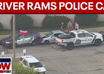 WATCH: Shooting suspect rams patrol vehicle in Roseville, MI | LiveNOW from FOX WATCH: Shooting suspect rams patrol vehicle in Roseville, MI | LiveNOW from FOX