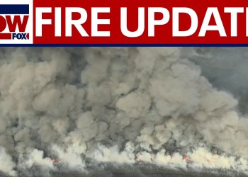 NJ wildfire: Officials provide update on ‘Jones Road’ fire NJ wildfire: Officials provide update on ‘Jones Road’ fire