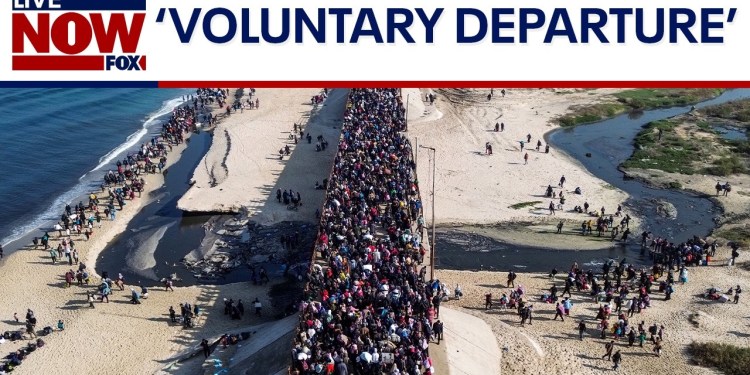 Trump Gaza plan: IDF told to prepare for departure of Palestinians | LiveNOW from FOX Trump Gaza plan: IDF told to prepare for departure of Palestinians | LiveNOW from FOX