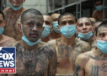 Journalist gives a look into El Salvador’s ‘Alcatraz’ Journalist gives a look into El Salvador’s ‘Alcatraz’