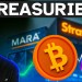 Are Crypto Treasury Companies Collapsing? Are Crypto Treasury Companies Collapsing?