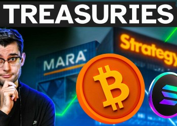 Are Crypto Treasury Companies Collapsing? Are Crypto Treasury Companies Collapsing?