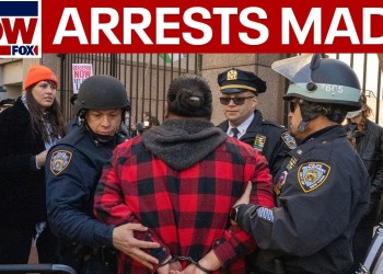 IN CUSTODY: Masked Gaza war protesters arrested after clash with police | LiveNOW from FOX IN CUSTODY: Masked Gaza war protesters arrested after clash with police | LiveNOW from FOX