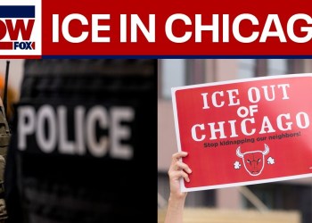 Chicago ICE busts expected ahead of Mexican Independence Day celebrations Chicago ICE busts expected ahead of Mexican Independence Day celebrations