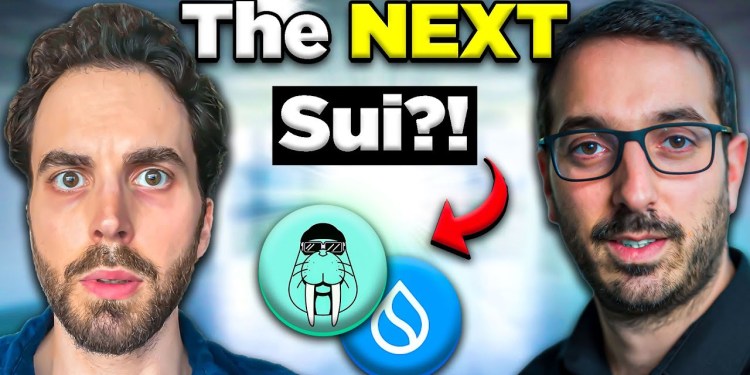 Sui’s Latest Bet: Crypto’s Next Big Opportunity | Expert Interview Sui’s Latest Bet: Crypto’s Next Big Opportunity | Expert Interview