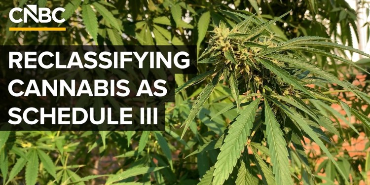 What The Trump Administration’s Cannabis Reclassification Means For The Drug What The Trump Administration’s Cannabis Reclassification Means For The Drug