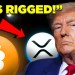 IT’S RIGGED! President Trump Warns ‘Buckle Up’ Bitcoin & Crypto Holders IT’S RIGGED! President Trump Warns ‘Buckle Up’ Bitcoin & Crypto Holders