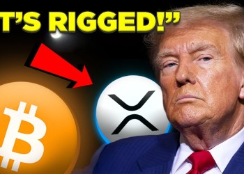 IT’S RIGGED! President Trump Warns ‘Buckle Up’ Bitcoin & Crypto Holders IT’S RIGGED! President Trump Warns ‘Buckle Up’ Bitcoin & Crypto Holders