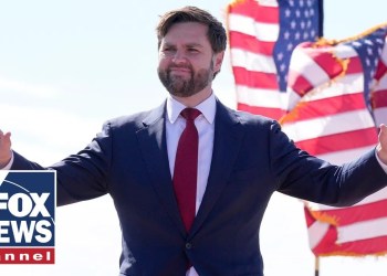 Kayleigh McEnany RIPS media for attacks on JD Vance: ‘Dangerous, cult language’ Kayleigh McEnany RIPS media for attacks on JD Vance: ‘Dangerous, cult language’