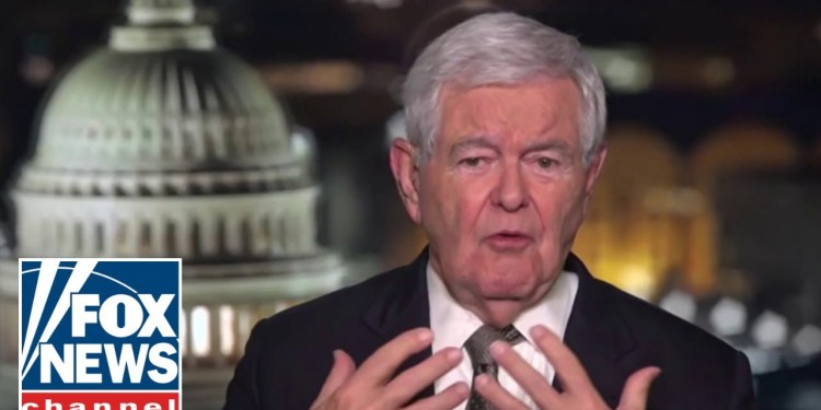 Newt Gingrich: Biden is being exploited Newt Gingrich: Biden is being exploited