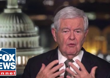 Newt Gingrich: Biden is being exploited Newt Gingrich: Biden is being exploited