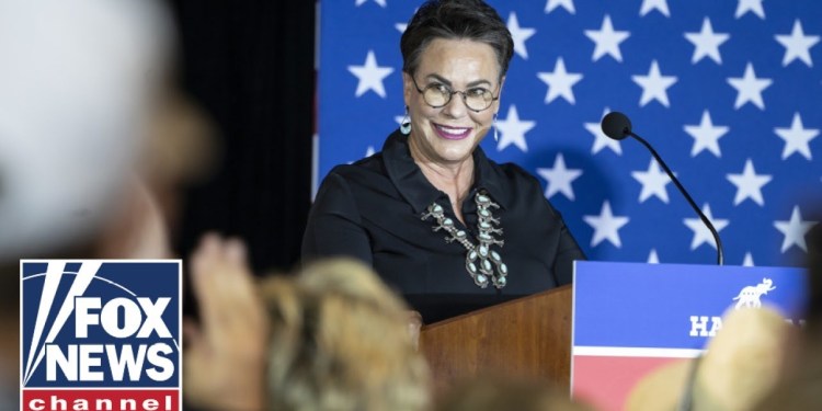 CPAC crowd cheers GOP rep’s anti-woke address CPAC crowd cheers GOP rep’s anti-woke address