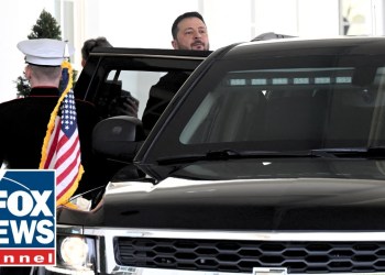 WATCH: Zelenskyy leaves White House after Trump ‘kicked him out’ WATCH: Zelenskyy leaves White House after Trump ‘kicked him out’