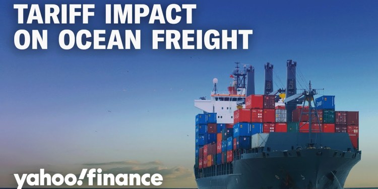 Expect shortages of goods from China if tariffs last, Flexport CEO says Expect shortages of goods from China if tariffs last, Flexport CEO says