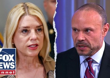 NEW: Bongino may quit FBI over Bondi’s Epstein file move NEW: Bongino may quit FBI over Bondi’s Epstein file move