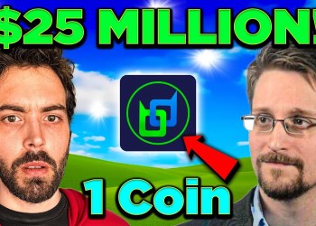 The Next Big Crypto: Beldex (Top Privacy Browser & VPN) The Next Big Crypto: Beldex (Top Privacy Browser & VPN)