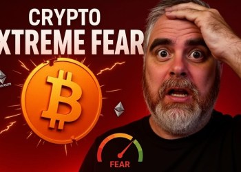 Crypto EXTREME FEAR (How LOW Will Bitcoin Fall?) Crypto EXTREME FEAR (How LOW Will Bitcoin Fall?)
