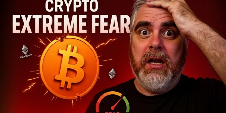 Crypto EXTREME FEAR (How LOW Will Bitcoin Fall?) Crypto EXTREME FEAR (How LOW Will Bitcoin Fall?)