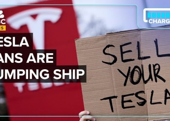 Are Tesla’s Biggest Fans Done With Elon Musk? Are Tesla’s Biggest Fans Done With Elon Musk?