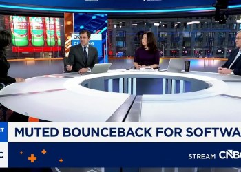 Pain in software may continue, says iCapital’s Basak Pain in software may continue, says iCapital’s Basak