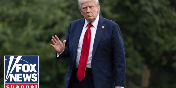 Illegal aliens are getting a ticket out of America under this admin, Stephen Miller says Illegal aliens are getting a ticket out of America under this admin, Stephen Miller says