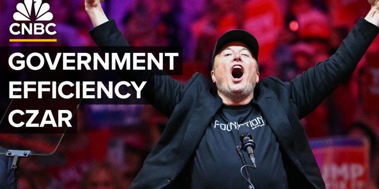 How Elon Musk’s Plan To Slash Government Agencies And Regulation May Benefit His Empire How Elon Musk’s Plan To Slash Government Agencies And Regulation May Benefit His Empire