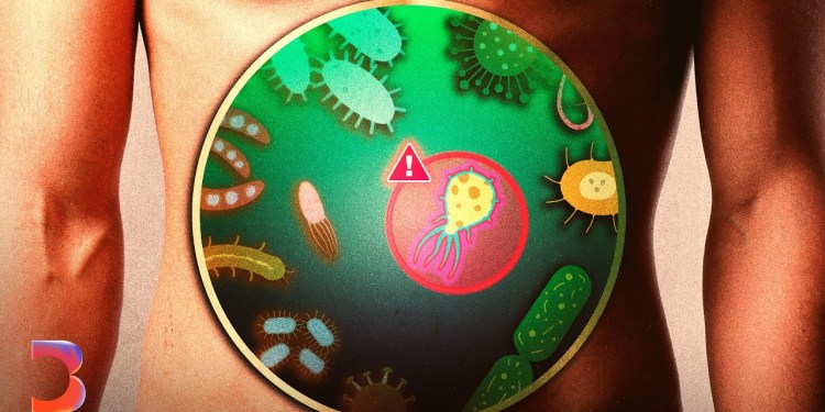 Hacking the Microbiome to Fight Cancer Hacking the Microbiome to Fight Cancer