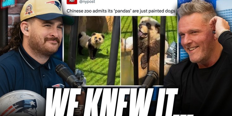 China Admits Panda Aren’t Real… JUST LIKE WE SAID | Pat McAfee Show China Admits Panda Aren’t Real… JUST LIKE WE SAID | Pat McAfee Show