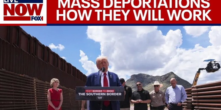 Mass Deportations: How the Donald Trump plan will look once he is sworn in | LiveNOW from FOX Mass Deportations: How the Donald Trump plan will look once he is sworn in | LiveNOW from FOX