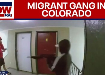 Heavily-armed ‘migrant gang’ takes over apartment building in Colorado Heavily-armed ‘migrant gang’ takes over apartment building in Colorado