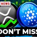 URGENT: Bitcoin & ETH Next Stop, XRP, ADA, SUI Price Predictions URGENT: Bitcoin & ETH Next Stop, XRP, ADA, SUI Price Predictions