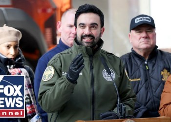 Mamdani MOCKED for making snow shovelers show ID, not voters Mamdani MOCKED for making snow shovelers show ID, not voters