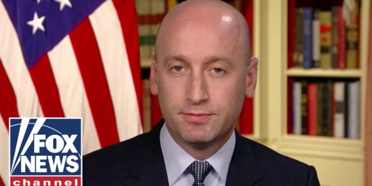 Stephen Miller: They WANT fraud! Stephen Miller: They WANT fraud!