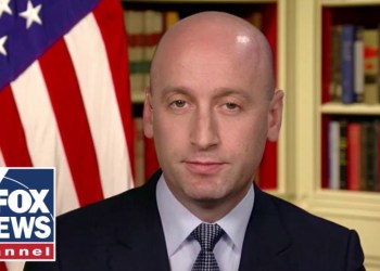 Stephen Miller: They WANT fraud! Stephen Miller: They WANT fraud!
