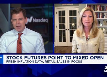 The market is not done with the volatility, says Hightower’s Stephanie Link The market is not done with the volatility, says Hightower’s Stephanie Link