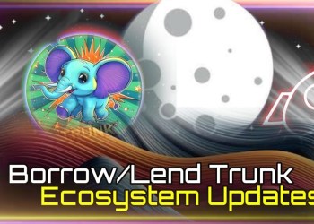 Highest USDC Yield in Crypto – TRUNK Solend Strategies Highest USDC Yield in Crypto – TRUNK Solend Strategies