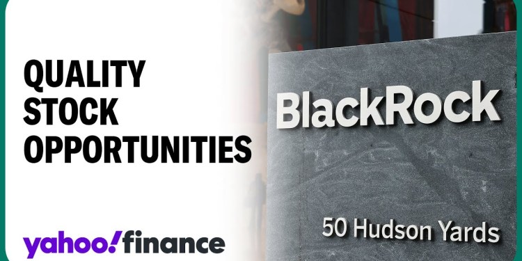 BlackRock strategist: Remain invested in quality stocks BlackRock strategist: Remain invested in quality stocks