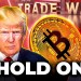 Crypto News: Bitcoin Crashes, Trade War, Altseason Dead, ADA, HBAR & More Crypto News: Bitcoin Crashes, Trade War, Altseason Dead, ADA, HBAR & More