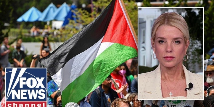 Campus protester had contact with Hamas: DOJ Campus protester had contact with Hamas: DOJ