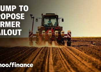 What a farmer thinks about Trump’s proposed bailout What a farmer thinks about Trump’s proposed bailout