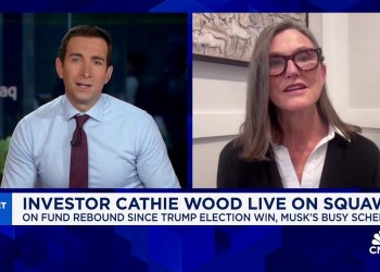 ‘We have a volatile fund’: Cathie Wood responds to criticism about Ark Invest ‘We have a volatile fund’: Cathie Wood responds to criticism about Ark Invest