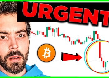 URGENT: Do NOT Sell Your Cryptocurrency! Altcoin Supercycle Starts FEBRUARY! URGENT: Do NOT Sell Your Cryptocurrency! Altcoin Supercycle Starts FEBRUARY!