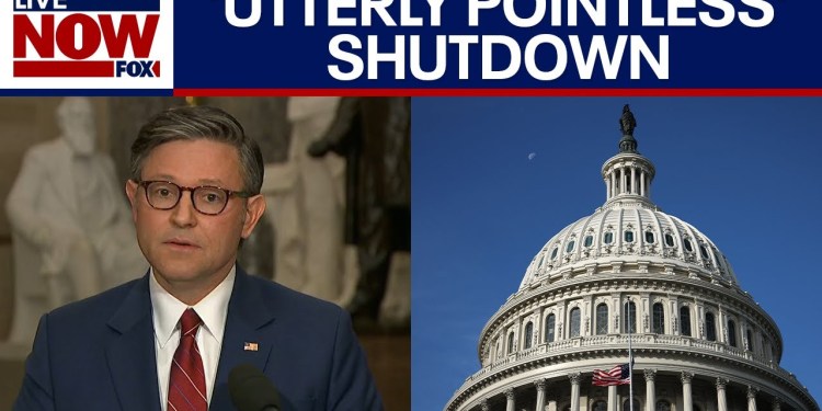 Johnson slams Democrats after House passes bill to end shutdown Johnson slams Democrats after House passes bill to end shutdown