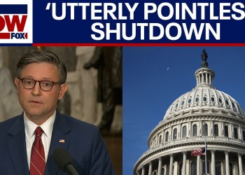 Johnson slams Democrats after House passes bill to end shutdown Johnson slams Democrats after House passes bill to end shutdown