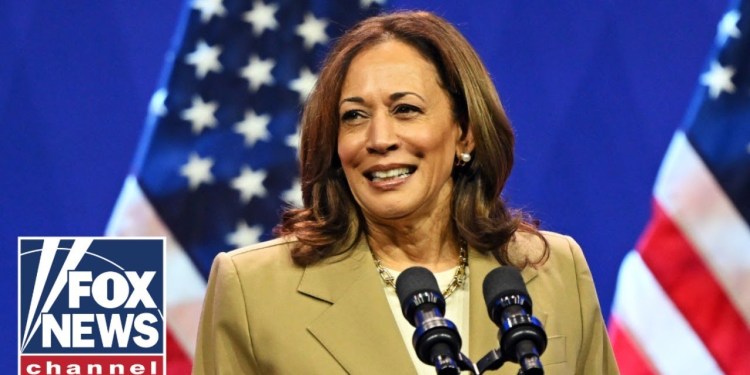 ‘NOT SURPRISED’: Harris criticized over ads with two different messages on Middle East ‘NOT SURPRISED’: Harris criticized over ads with two different messages on Middle East