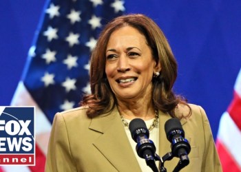 ‘NOT SURPRISED’: Harris criticized over ads with two different messages on Middle East ‘NOT SURPRISED’: Harris criticized over ads with two different messages on Middle East